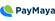 payment icon